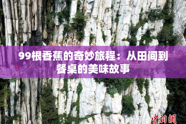 99根香蕉的奇妙旅程：从田间到餐桌的美味故事