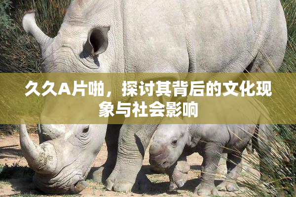 久久A片啪，探讨其背后的文化现象与社会影响
