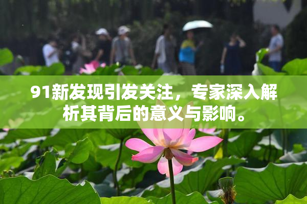 91新发现引发关注，专家深入解析其背后的意义与影响。