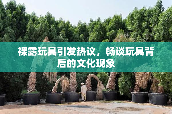 裸露玩具引发热议，畅谈玩具背后的文化现象
