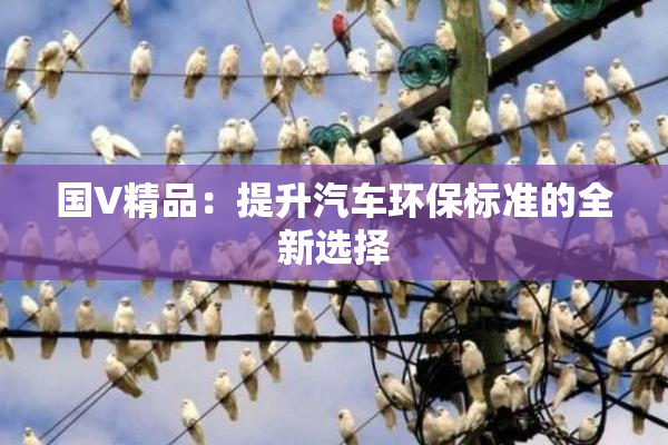 国V精品：提升汽车环保标准的全新选择