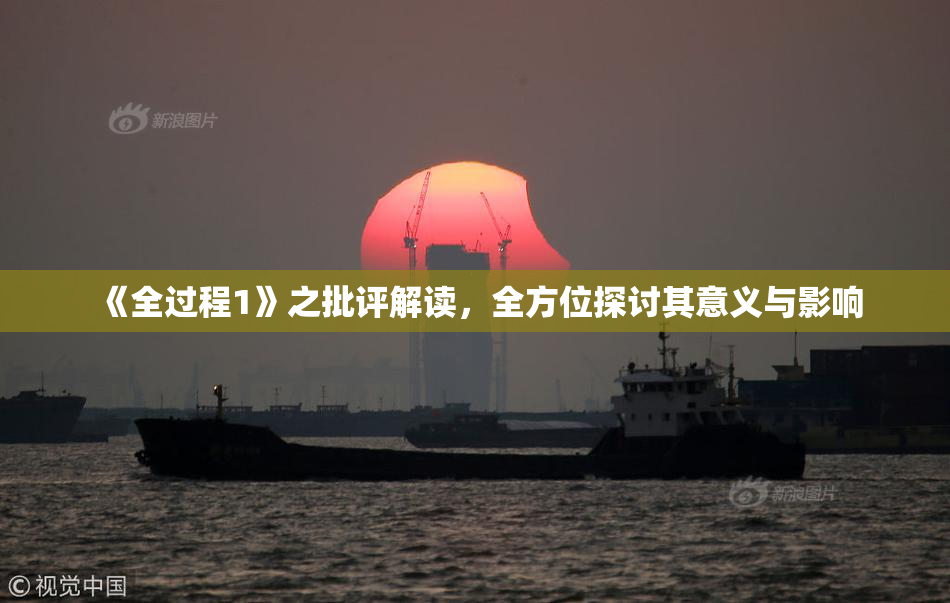 《全过程1》之批评解读，全方位探讨其意义与影响