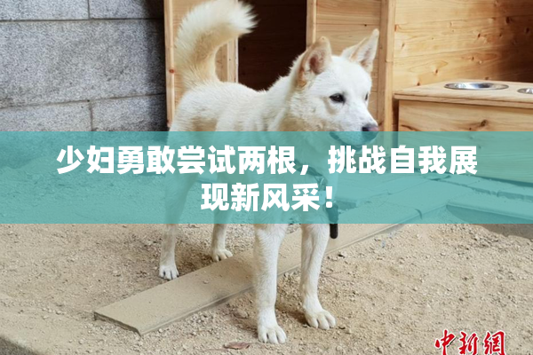 少妇勇敢尝试两根，挑战自我展现新风采！