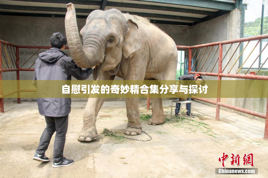 自慰引发的奇妙精合集分享与探讨