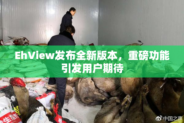EhView发布全新版本，重磅功能引发用户期待