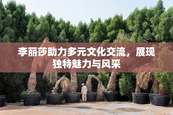李丽莎助力多元文化交流，展现独特魅力与风采