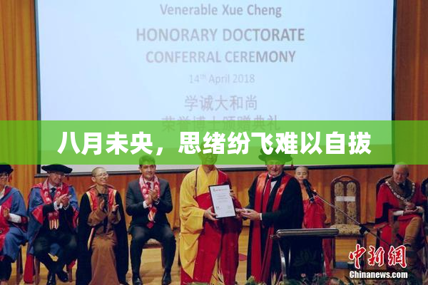 八月未央，思绪纷飞难以自拔
