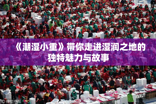 《潮湿小重》带你走进湿润之地的独特魅力与故事