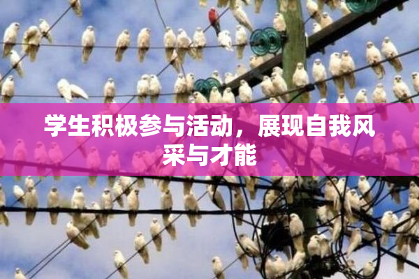 学生积极参与活动，展现自我风采与才能
