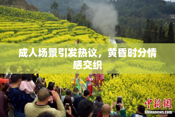 成人场景引发热议，黄昏时分情感交织