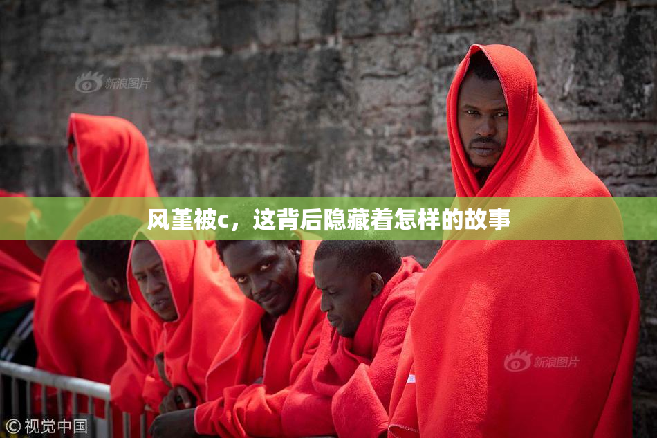 风堇被c，这背后隐藏着怎样的故事