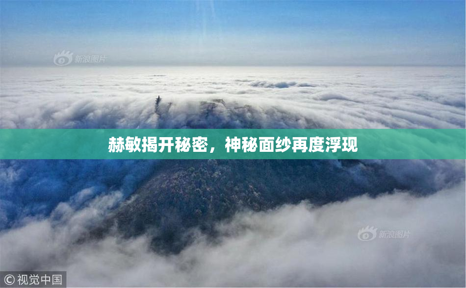 赫敏揭开秘密，神秘面纱再度浮现