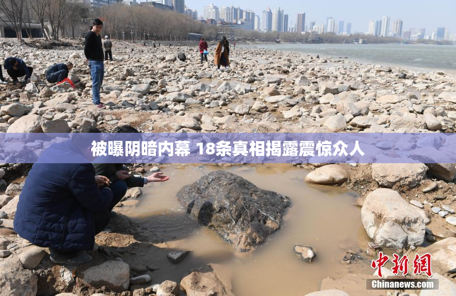 被曝阴暗内幕 18条真相揭露震惊众人