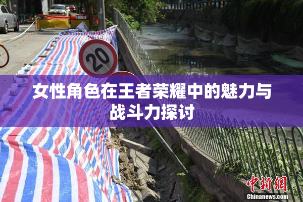 女性角色在王者荣耀中的魅力与战斗力探讨