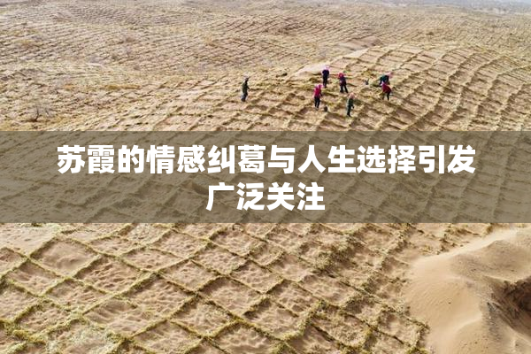 苏霞的情感纠葛与人生选择引发广泛关注