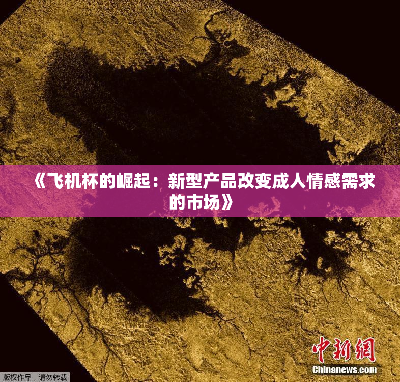 《飞机杯的崛起：新型产品改变成人情感需求的市场》