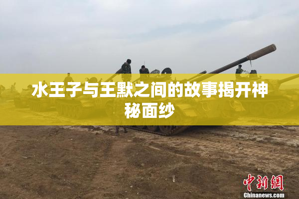 水王子与王默之间的故事揭开神秘面纱