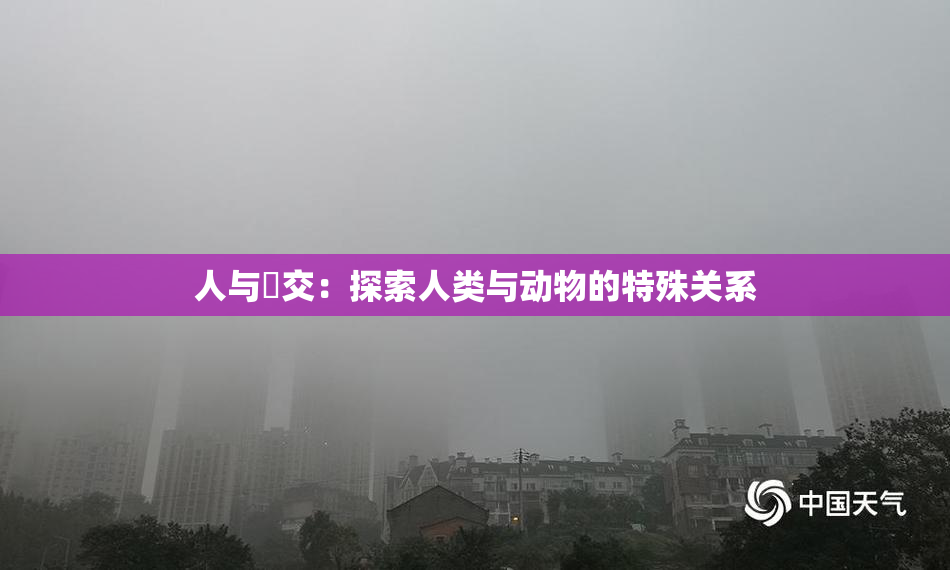 人与嘼交：探索人类与动物的特殊关系