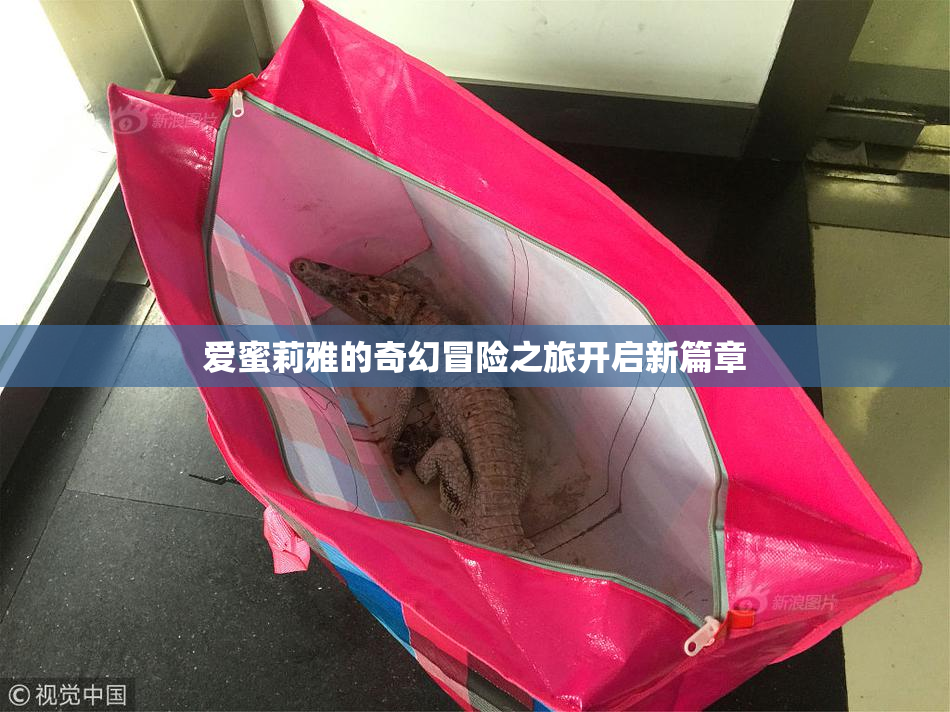 爱蜜莉雅的奇幻冒险之旅开启新篇章