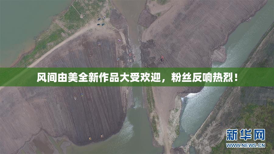 风间由美全新作品大受欢迎，粉丝反响热烈！