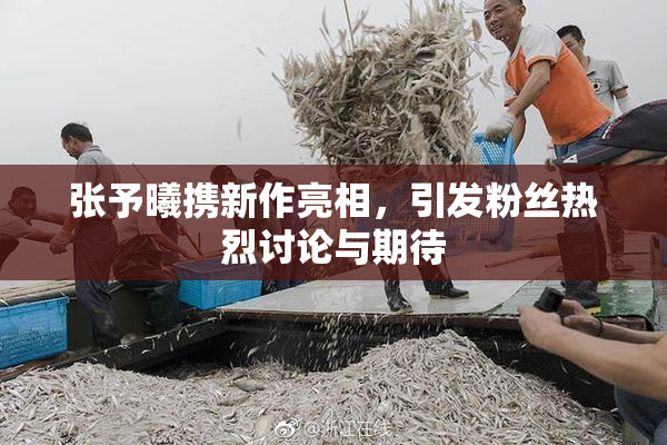 张予曦携新作亮相，引发粉丝热烈讨论与期待