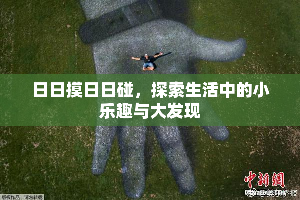 日日摸日日碰，探索生活中的小乐趣与大发现