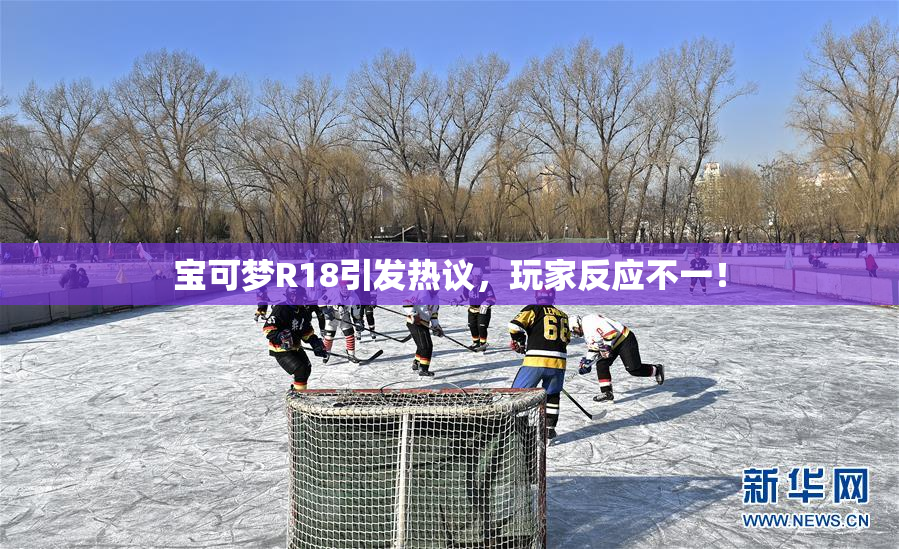宝可梦R18引发热议，玩家反应不一！