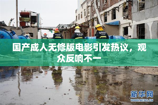 国产成人无修版电影引发热议，观众反响不一