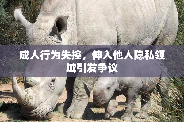 成人行为失控，伸入他人隐私领域引发争议