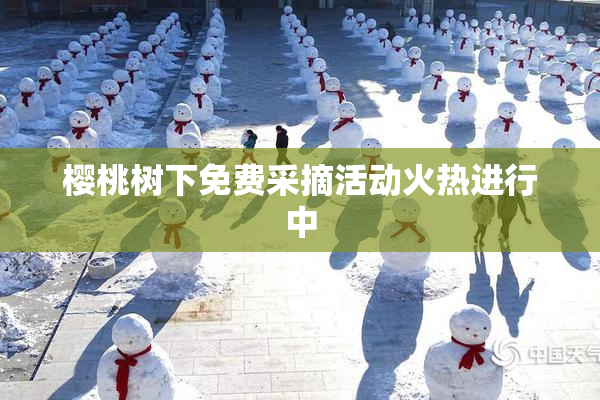 樱桃树下免费采摘活动火热进行中