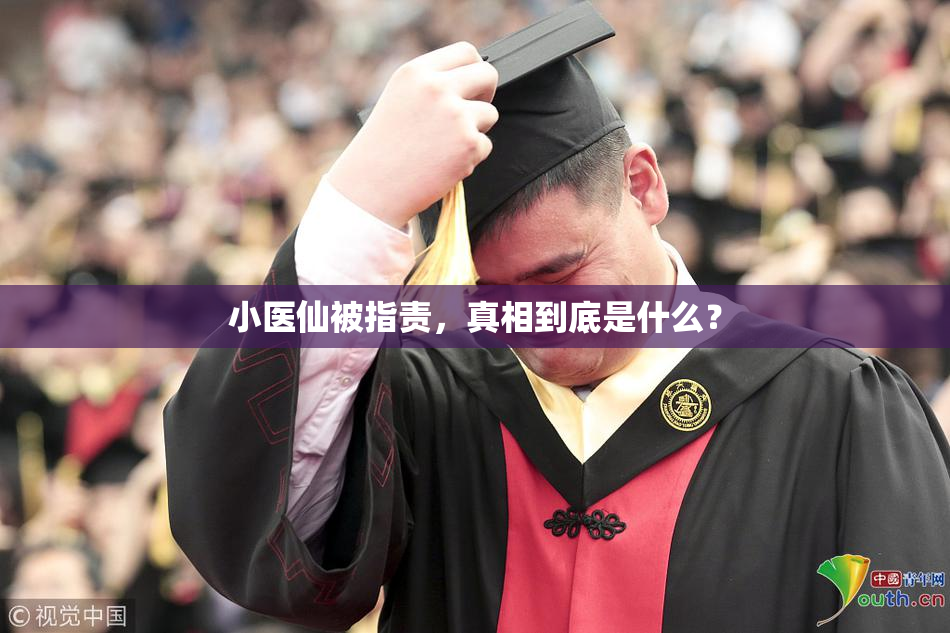 小医仙被指责，真相到底是什么？