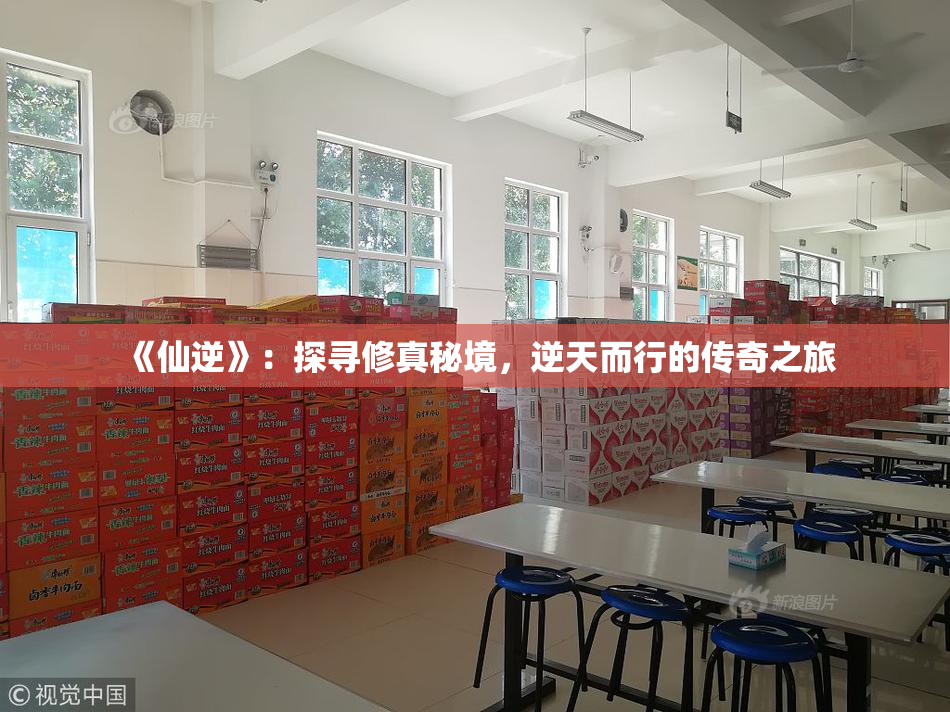 《仙逆》：探寻修真秘境，逆天而行的传奇之旅