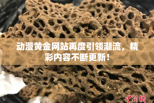 动漫黄金网站再度引领潮流，精彩内容不断更新！