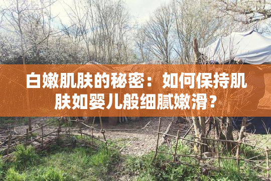 白嫩肌肤的秘密：如何保持肌肤如婴儿般细腻嫩滑？