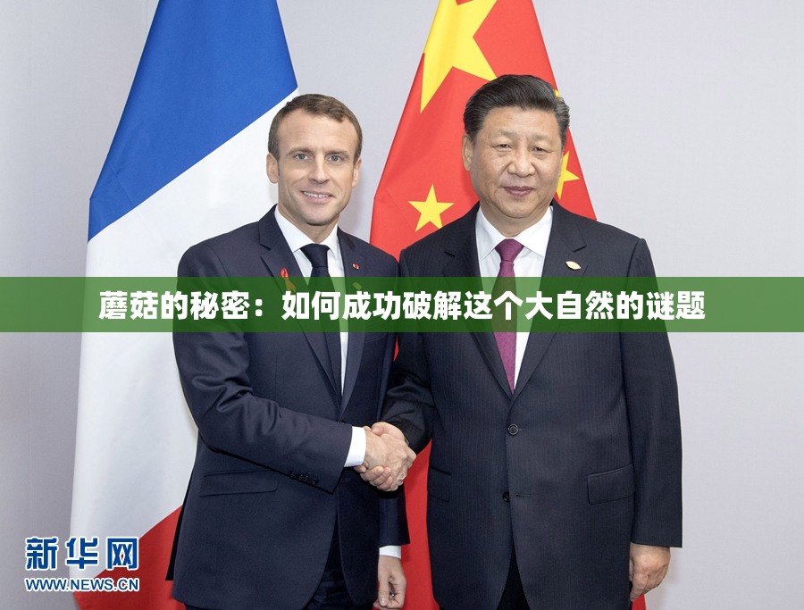 蘑菇的秘密：如何成功破解这个大自然的谜题