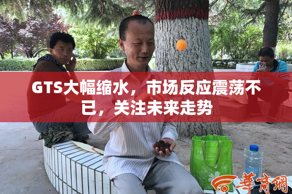 GTS大幅缩水，市场反应震荡不已，关注未来走势
