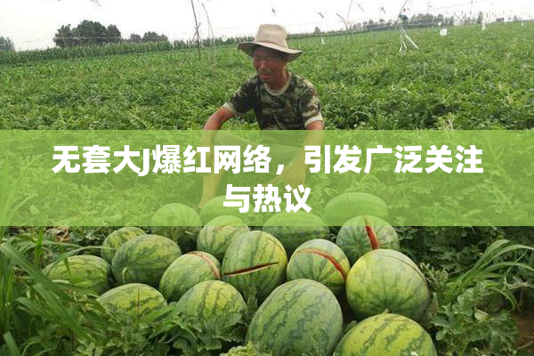 无套大J爆红网络，引发广泛关注与热议
