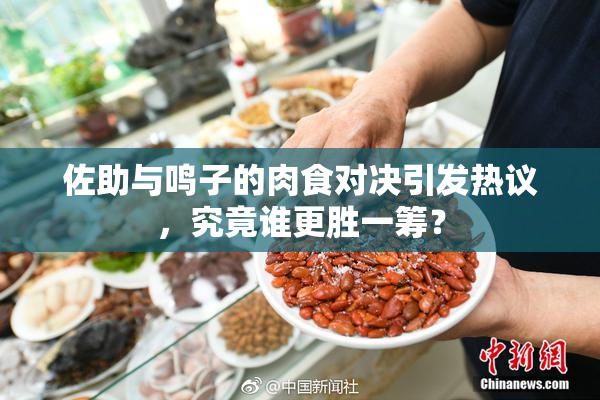 佐助与鸣子的肉食对决引发热议，究竟谁更胜一筹？