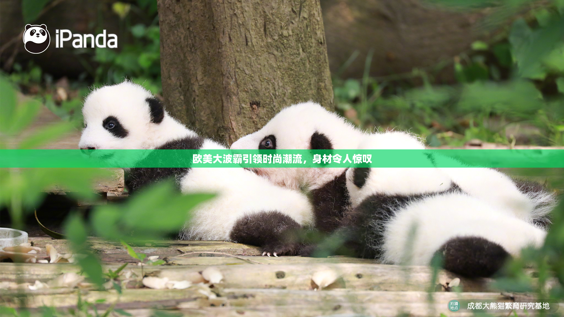 欧美大波霸引领时尚潮流，身材令人惊叹