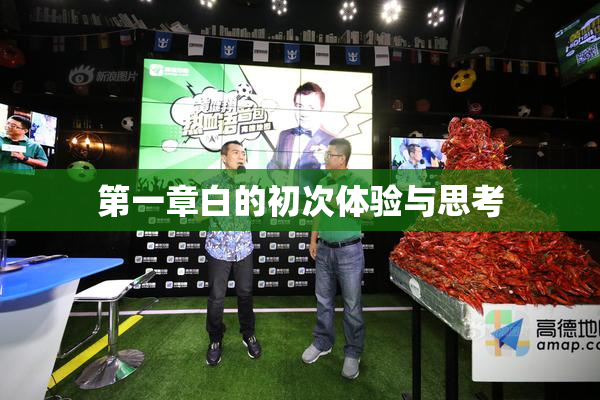 第一章白的初次体验与思考
