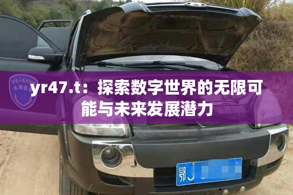 yr47.t：探索数字世界的无限可能与未来发展潜力