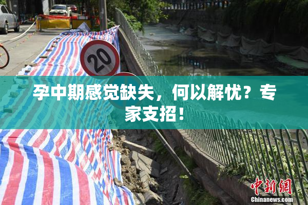 孕中期感觉缺失，何以解忧？专家支招！
