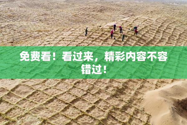 免费看！看过来，精彩内容不容错过！