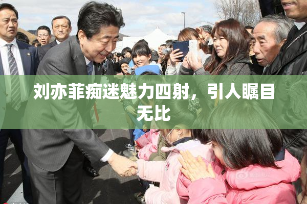 刘亦菲痴迷魅力四射，引人瞩目无比