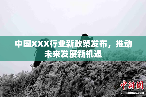 中国XXX行业新政策发布，推动未来发展新机遇