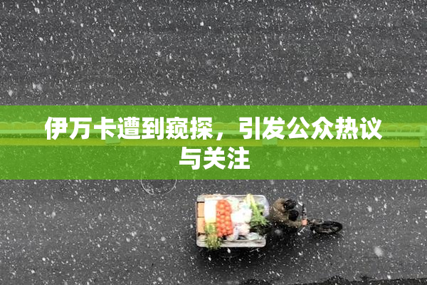 伊万卡遭到窥探，引发公众热议与关注