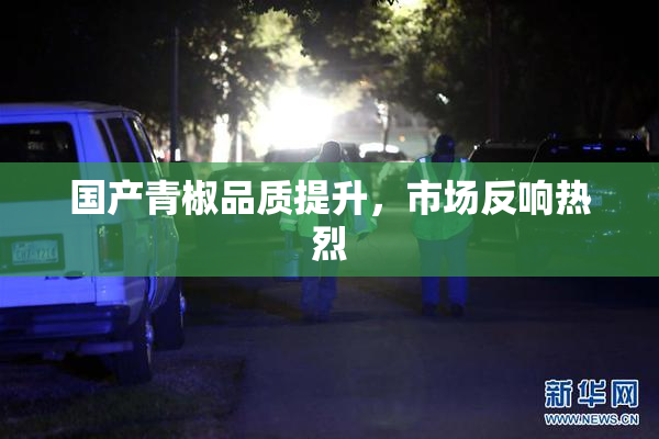 国产青椒品质提升，市场反响热烈