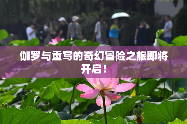 伽罗与重写的奇幻冒险之旅即将开启！
