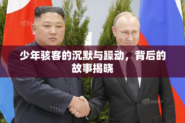 少年骇客的沉默与躁动，背后的故事揭晓