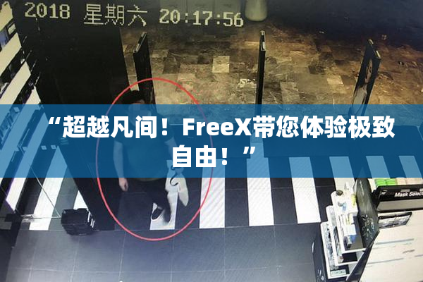 “超越凡间！FreeX带您体验极致自由！”